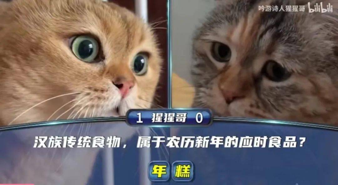 梗百科揭秘猫税与赛博难民的流行梗