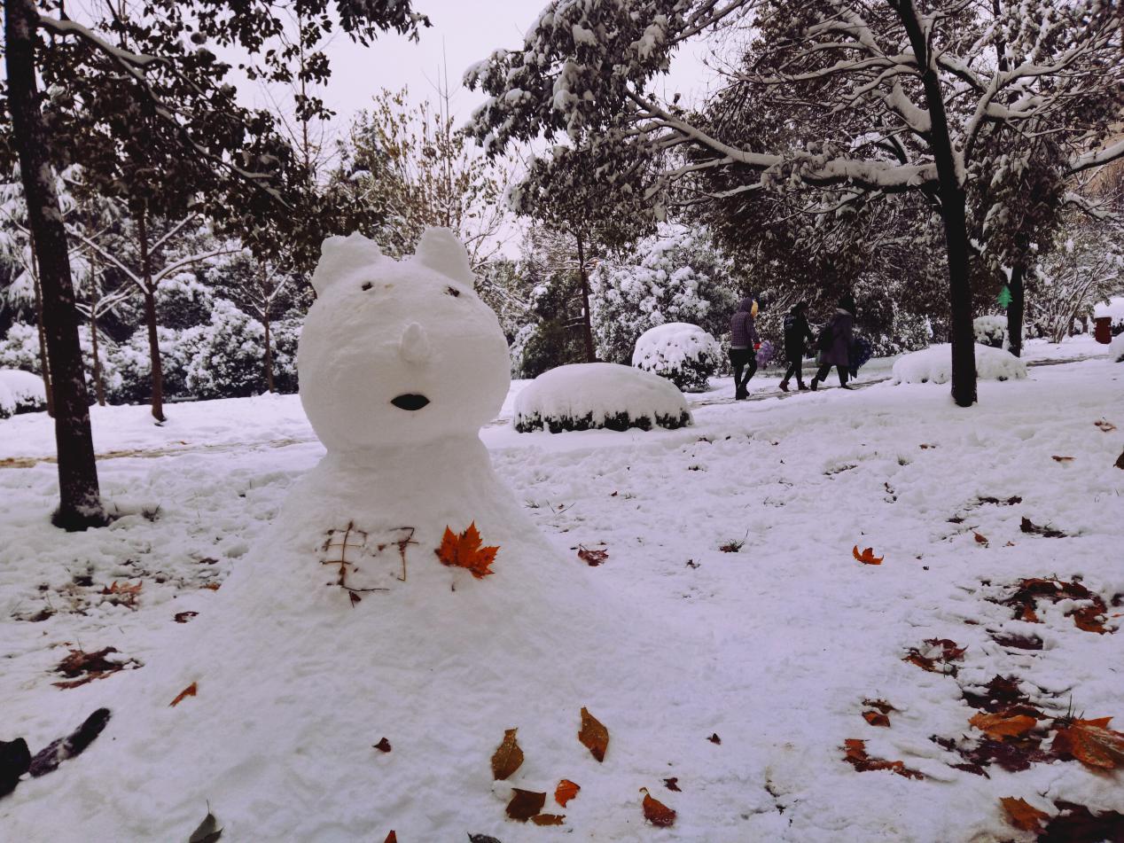 在没有雪的地方有雪人