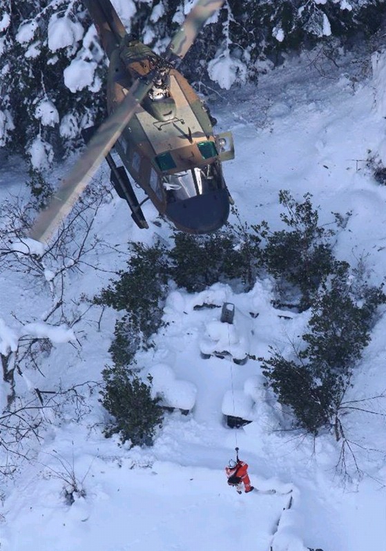 日本大雪酿悲剧，惨痛代价下的紧急应对与反思