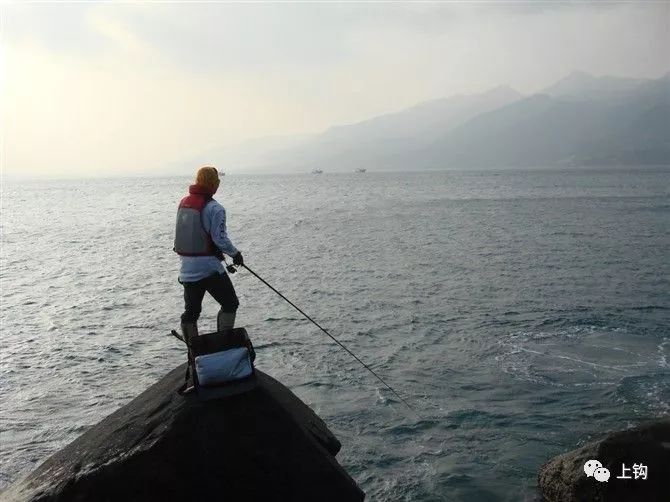 我在海上建家园，勇者无畏，筑梦海洋！——海上生活与自我挑战之旅