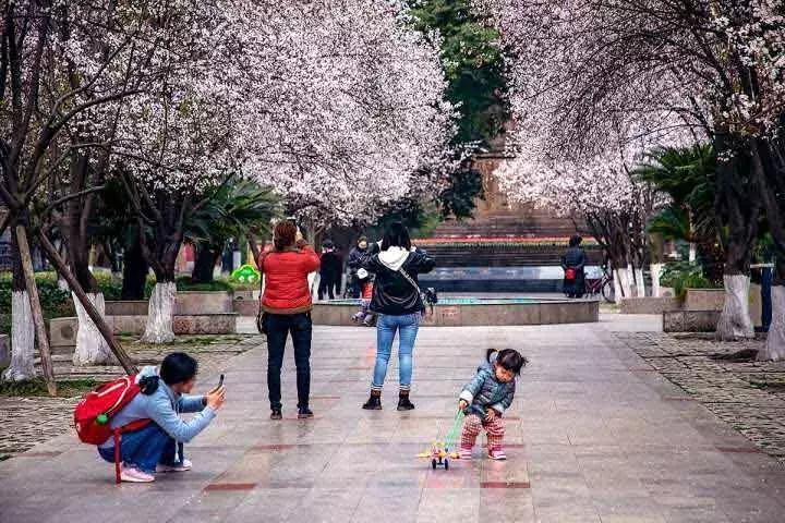 重庆街头乐观的太阳花花妈妈，摆摊救子，母爱至上，孩子永远是她的必选题