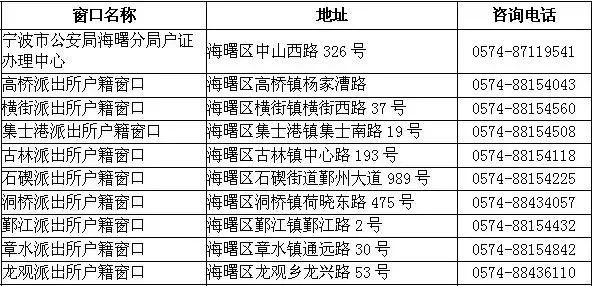 单日处理量巅峰，全市公务员十年劳作能否与之比肩？揭秘数字背后的真相！