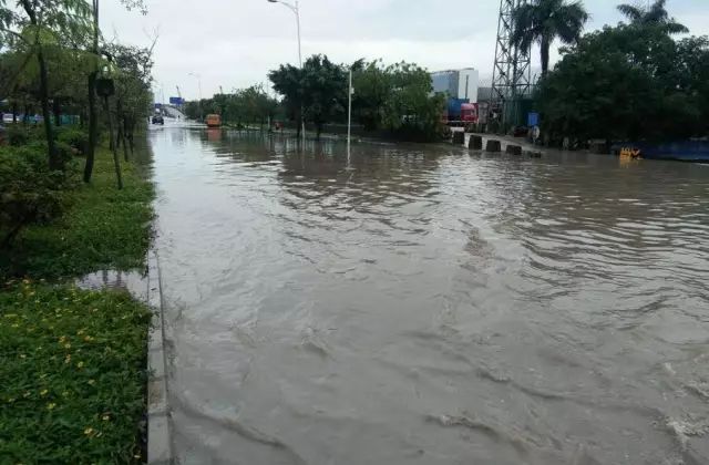 推荐，暴雨过后河南许昌真相揭秘，满目疮痍传闻不实！