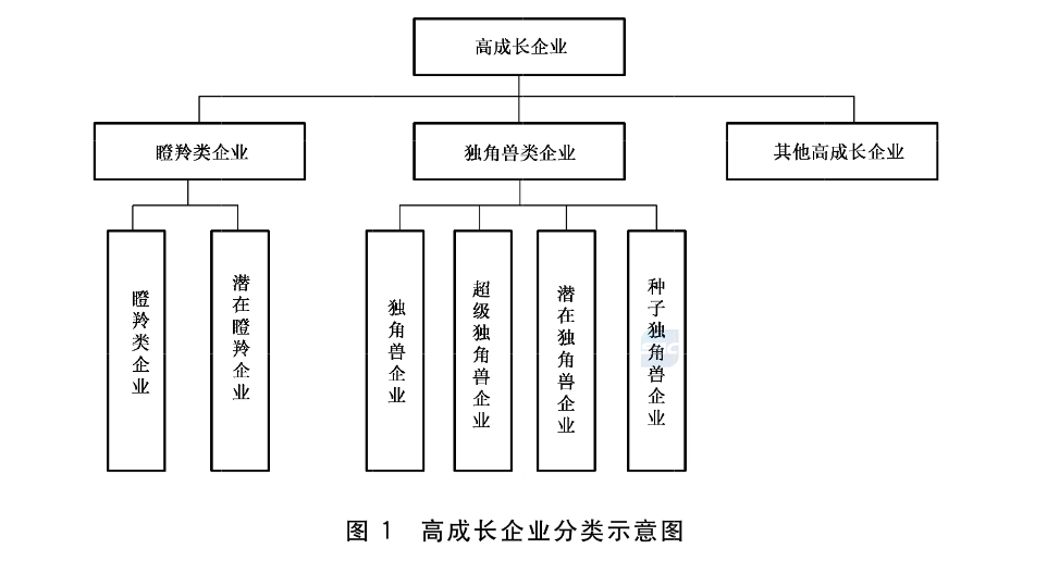 揭秘政府工作报告中的瞪羚企业，背后的秘密与未来趋势