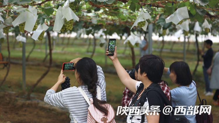 震惊！神秘力量暗中注入巨额水费，揭秘背后的真相！