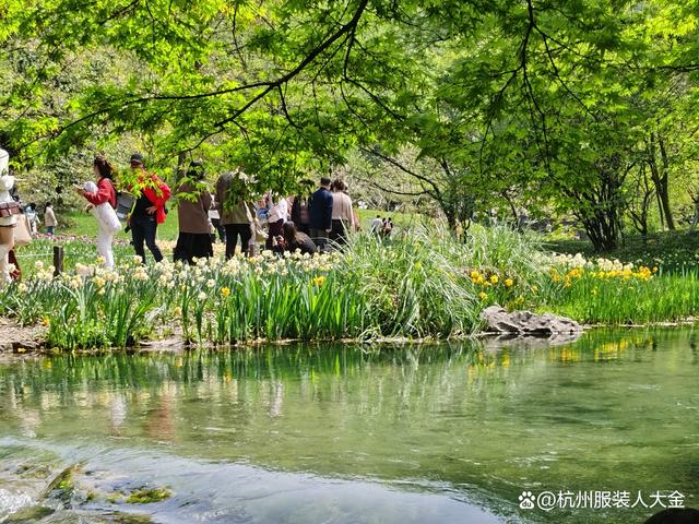 西湖太子湾，惊艳世界的旅游胜地，探寻两亿游客背后的故事